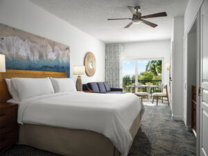 Guest Room (King Bed, Sleep Sofa)